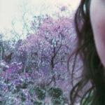 the album cover for Carabobina - Carabobina