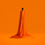 Wayne Snow - Figura (vinilo)