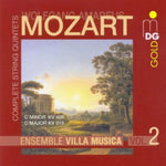 the album cover for Ensemble Villa Musica - String Quintet C minor