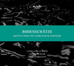 the album cover for Bodenschatze / Various - Bodenschatze / Various