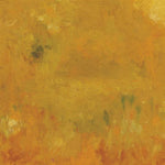the album cover for Bevel - Where Leaves Block the Sun