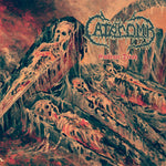 the album cover for Catacomb - Embrace Decay