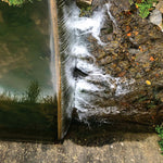 Jessica Moss - Fosfenos (Vinilo)