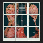 ダッシュボード・コンフェッショナル - All The Truth That I Can Tell (レコード)