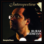 the album cover for Burak Bedikyan - Introspection