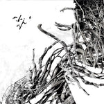 Negura Bunget - Virstele Pamintului (Vinilo)