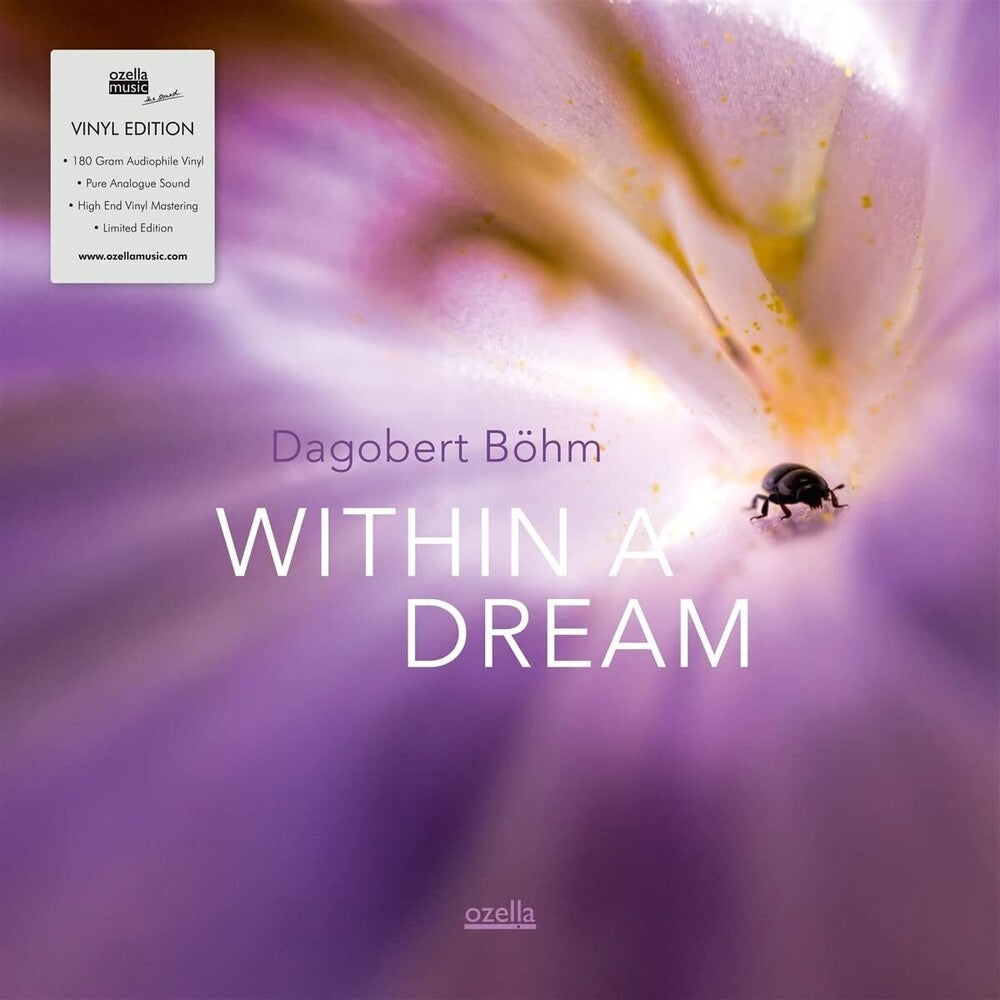 the album cover for Dagobert Bohm - Within A Dream