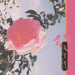 Dvr - Dirty Tapes (レコード)