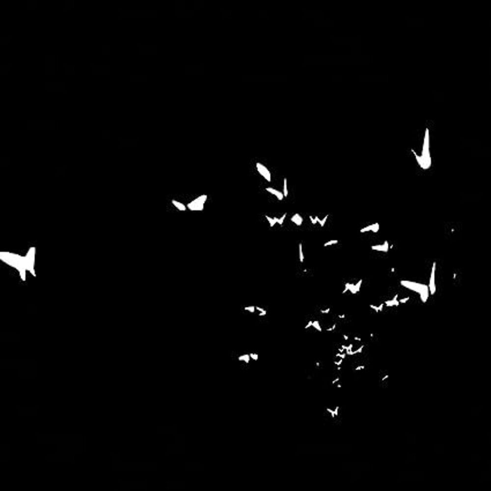 the album cover for Wow - Falene (Uk)