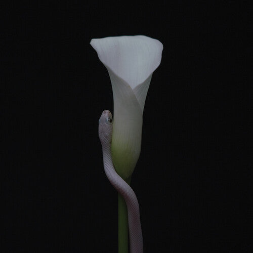 動物たちのリーダー - パレーシア (CD)