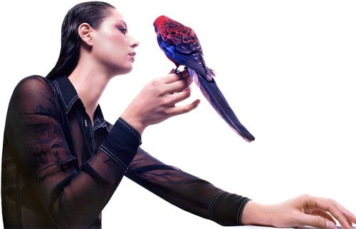 グレース・カミングス - ストーム・クイーン (ビニール盤)