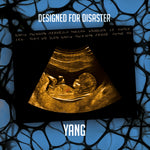 the album cover for Yang - Designed For Disaster