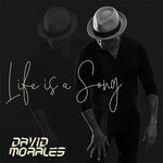 David Morales - Life Is A Song (Vinyl)