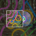 Bears in Trees - and everybody else smiled back (Vinyl)