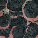 the album cover for Eric Chenaux - Say Laura