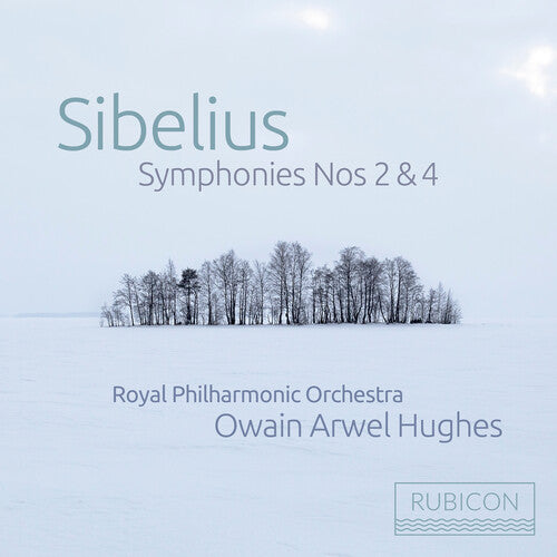 Owain Arwel Hughes - Sibelius: Symphonies Nos. 2 & 4 (CD)