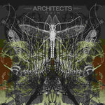 Arquitectos - Ruina (Vinilo)