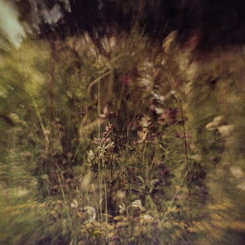 プルーラロン - Wile B/w Remembered (紫) (ビニールレコード)