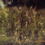 プルーラロン - Wile B/w Remembered (紫) (ビニールレコード)