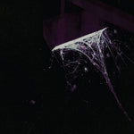 Pluralone - Across The Park B/w Sevens (Vinilo)