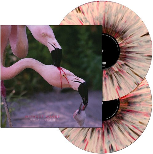 Without Waves - Comedian (Vinyl)