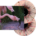 Without Waves - Comedian (Vinyl)