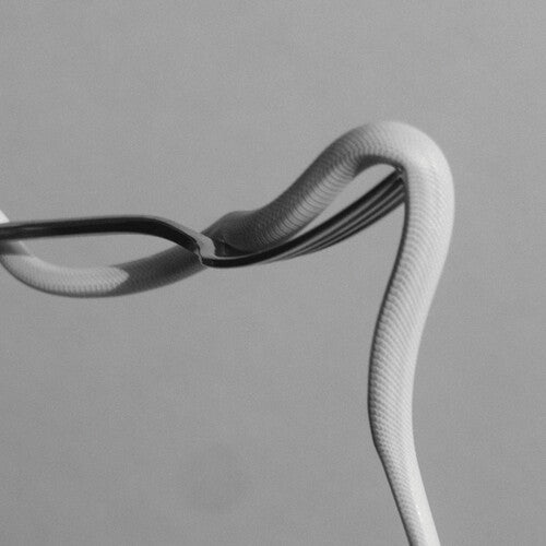 Animals as Leaders - Parrhesia (Vinyl)