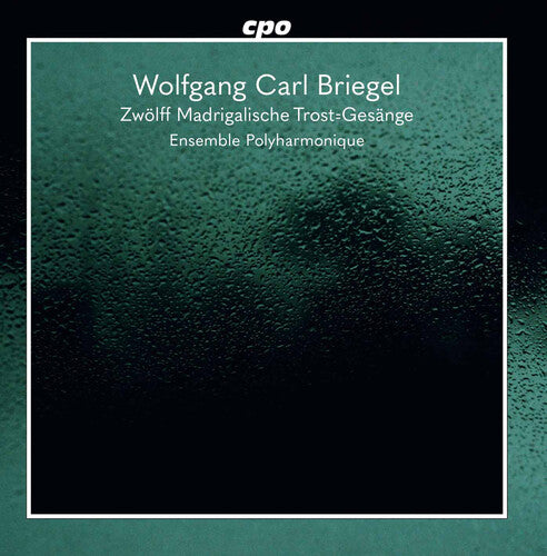 Ensemble Polyharmonique - Zwolff Madrigalische (CD)
