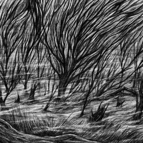 Bismuth - Las Marismas Eternas (Vinilo)