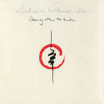 the album cover for Andreas Vollenweider - Dancing With The Lion