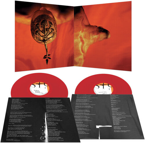 Steve Walsh - Glossolalia - Red (Vinyl)