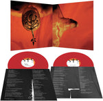 Steve Walsh - Glossolalia - Red (Vinyl)