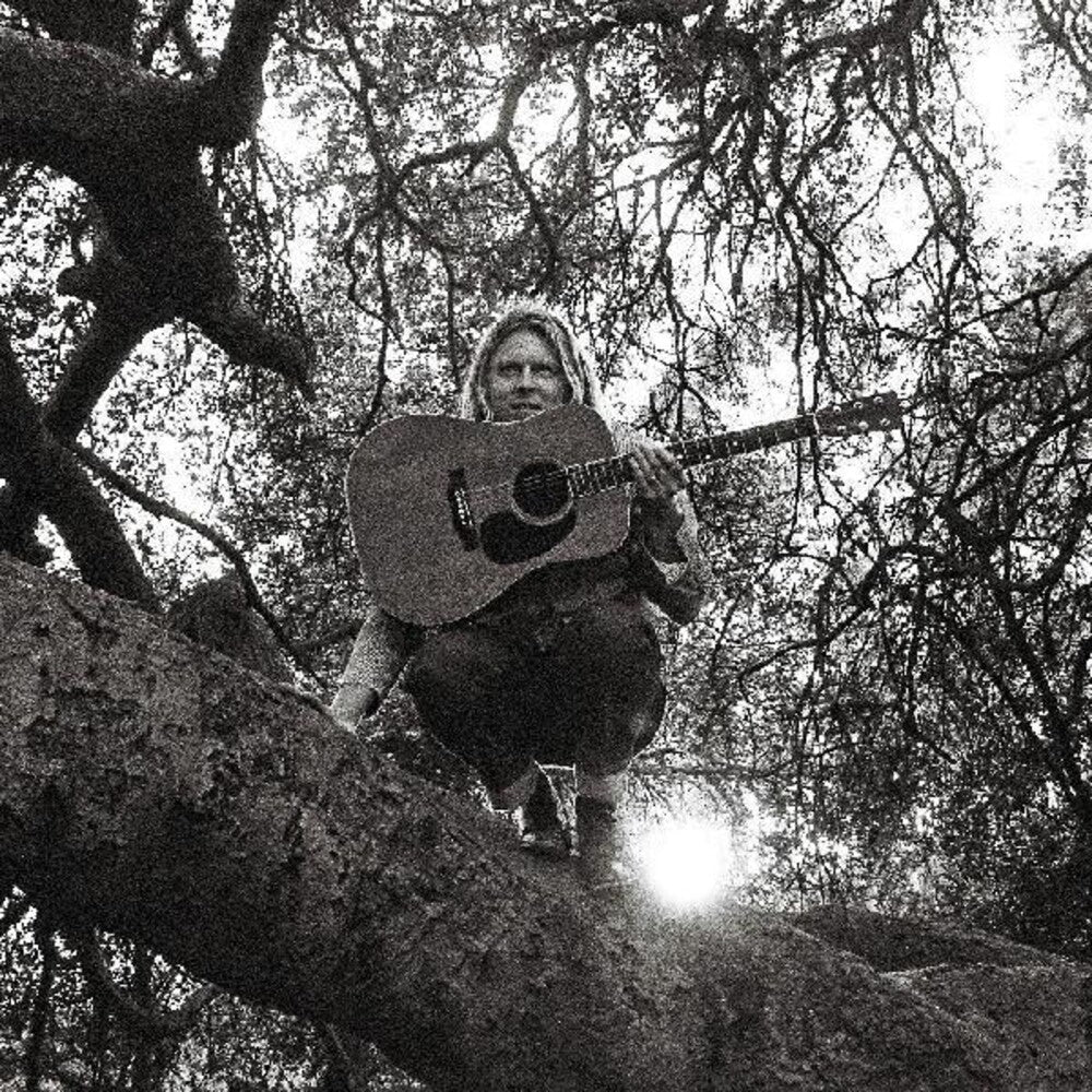 the album cover for Ty Segall - Hello, Hi