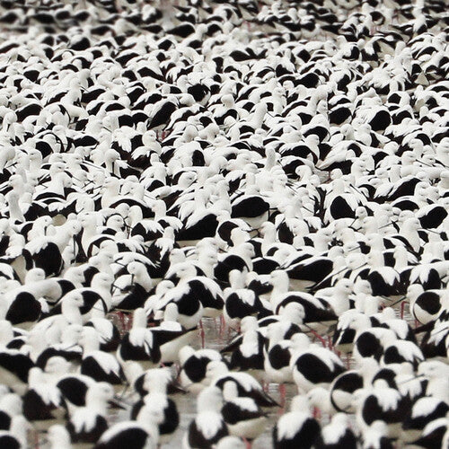 ステラ・ドネリー - Flood (ビニールレコード)