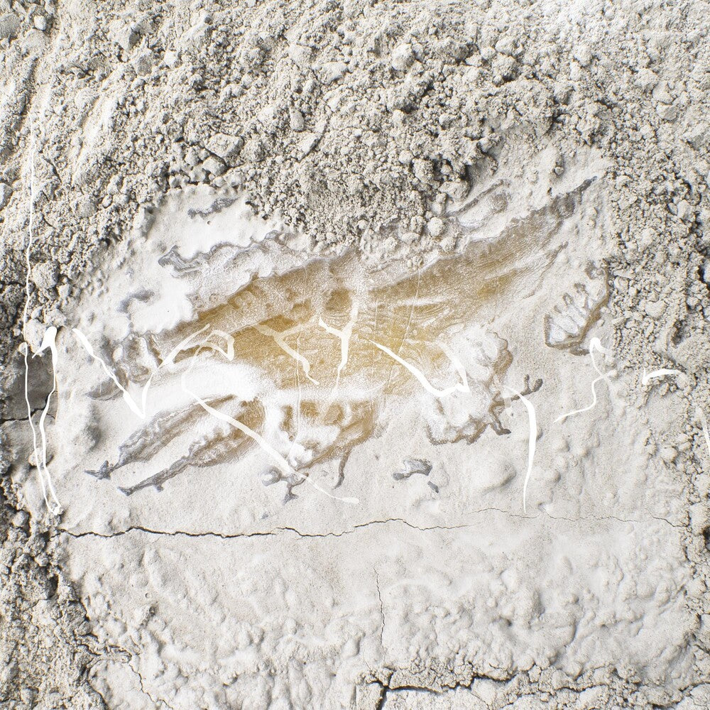 the album cover for Kawchuk, Jonathan - Everywhen