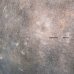 the album cover for Joe Rainey - Niineta