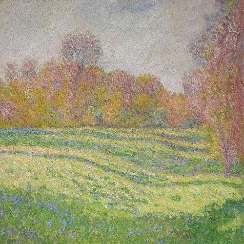 Strawberry Guy - El sol fuera de mi ventana (Vinilo)