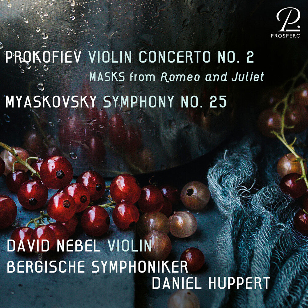 the album cover for Myaskovsky / Bergische Sinfoniker / Nebel - Symphony 25