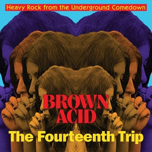 Brown Acid - Fourteenth Trip (Various Artists) (レコード)
