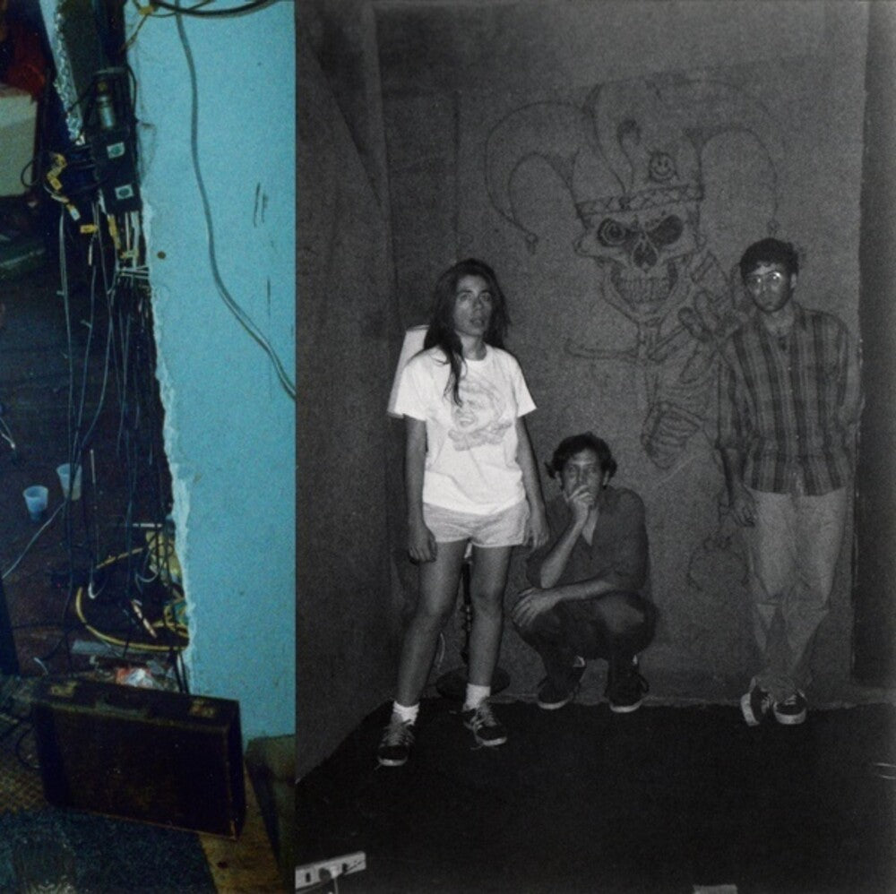 the album cover for Harry Pussy - You'll Never Play This Town Again