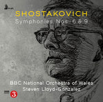 BBC National Orchestra of Wales - Symphonies 6 & 9 (CD)