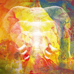 the album cover for Join The Din - Elephants In Autumn Rage (Uk)