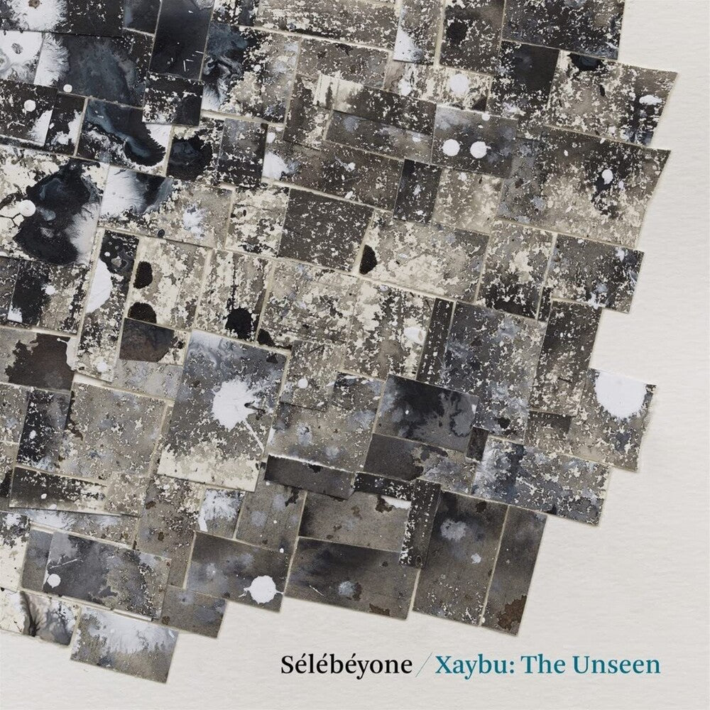 the album cover for Steve Lehman - Xaybu: The Unseen