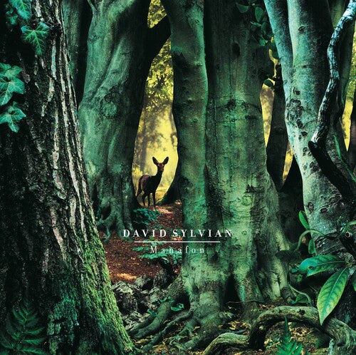 David Sylvian - Manafon (Vinilo)