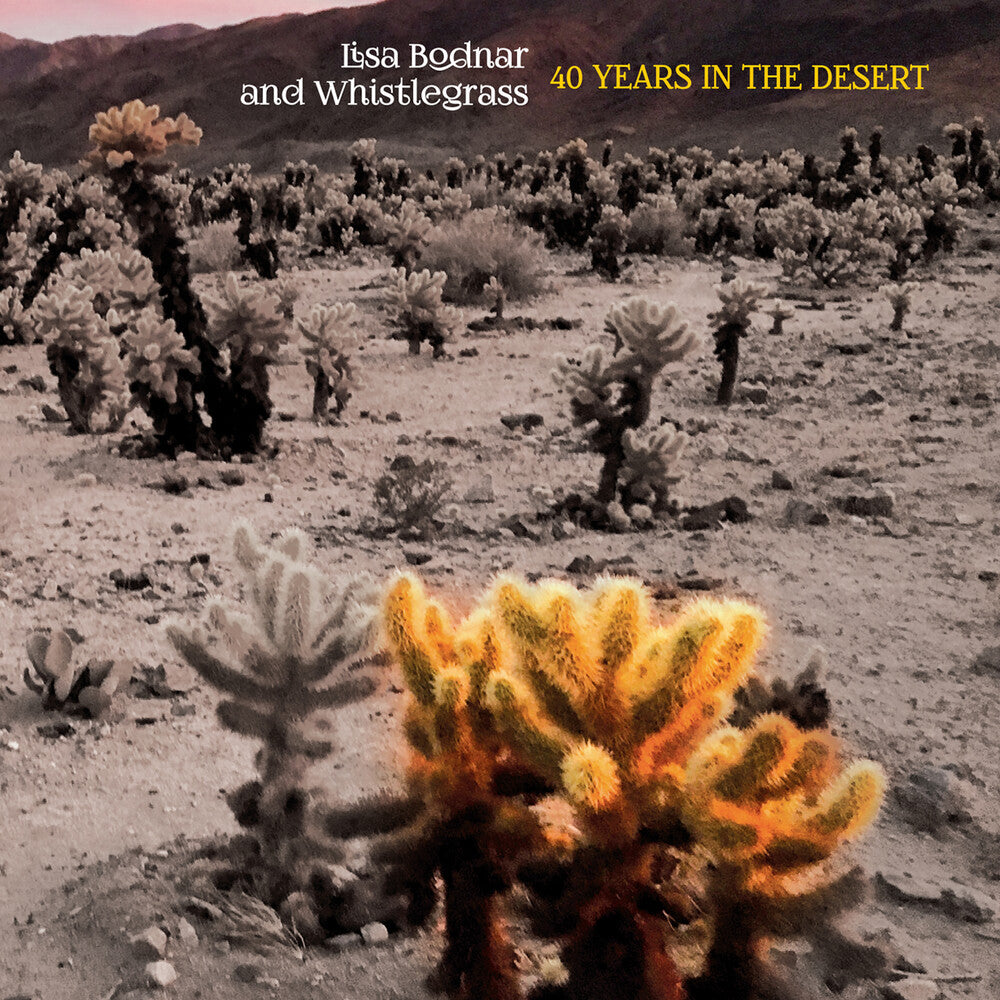 the album cover for Lisa Bodnar& Whistlegrass - 40 Years In The Desert