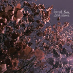 the album cover for Eerie Wanda - Internal Radio