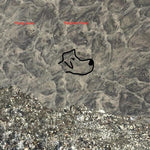 Young Jesus - Shepherd Head (Vinyl)