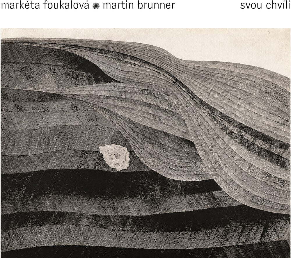 the album cover for Brunner / Foukalova / Kristan - Svou Chvili