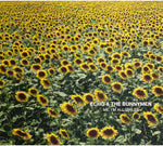 the album cover for Echo & The Bunnymen - Me I'm All Smiles