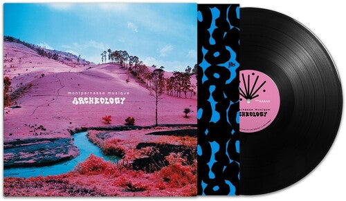 Montparnasse Musique - Arqueología (Vinilo)